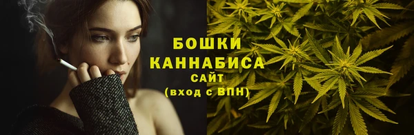 шишки Богданович